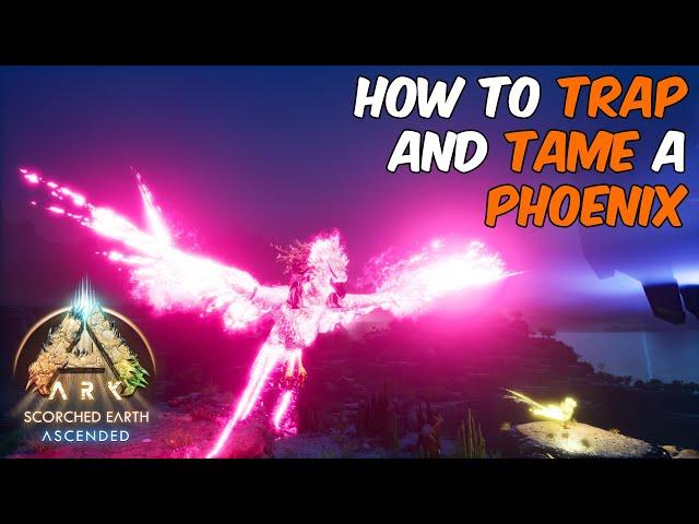 How To Trap and Tame a Phoenix in ARK Survival Ascended #ARK #arksurvivalascended #phoenix