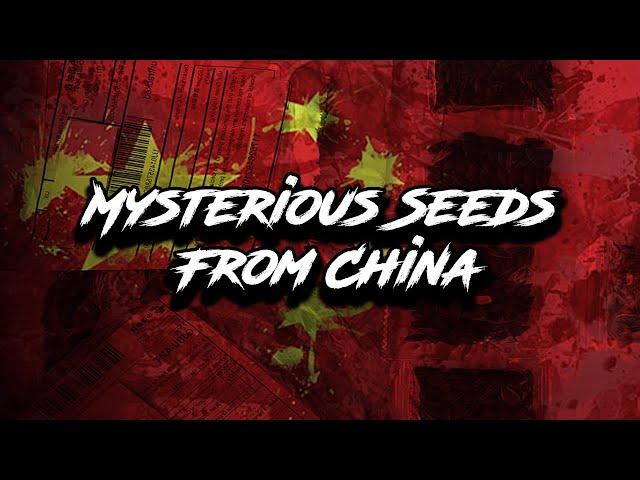 Mysterious Seeds From China - Analysis