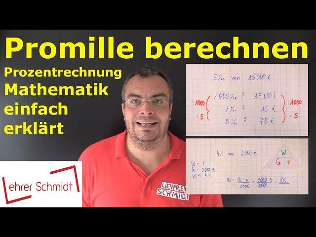 Promille berechnen  - Prozentrechnung - Mathematik einfach erklärt | Lehrerschmidt