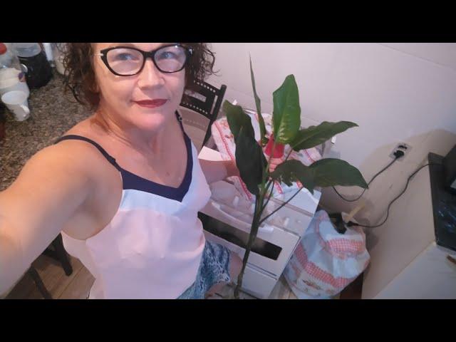 Vlog da minha manhã, como essa planta cresceu!