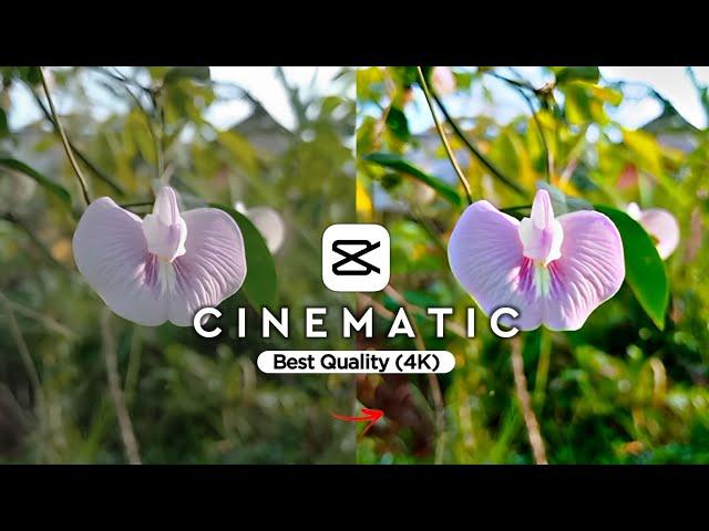 Cara Edit Video Cinematic Hight Quality Di Capcut | Edit Video Burik Jadi Jernih