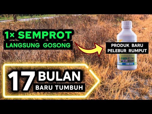 HERBISIDA TERBAIK menghancurkan rumput sampai akar tanpa sisa, racun rumput paling diminati petani