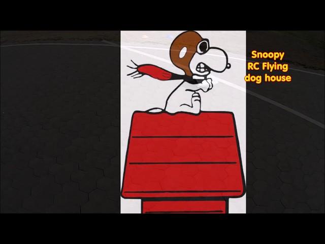 Snoopy rc flying dog house