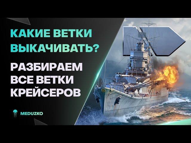 КАКИЕ КРЕЙСЕРЫ КАЧАТЬ В 2024? ● ОБЗОР ВСЕХ ВЕТОК