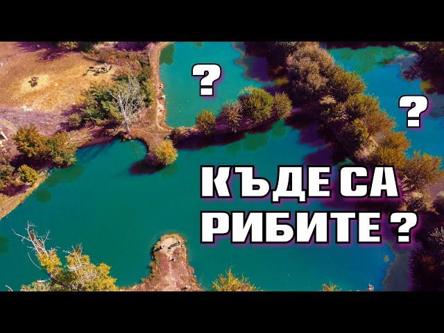 РИБАРСКИ ПАРК ! AREA  риболов на американки