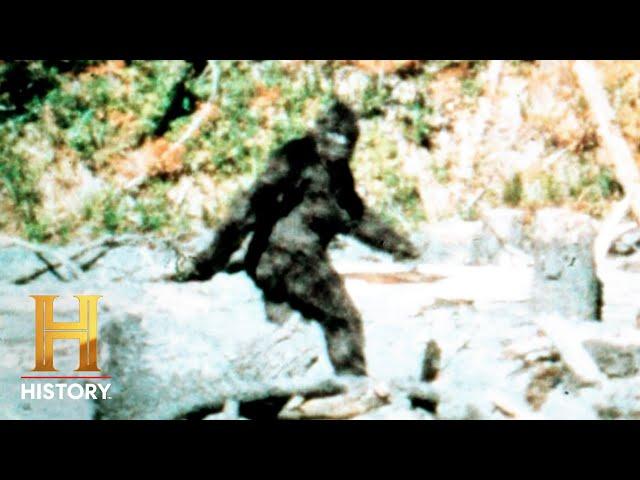 Hunting Bigfoot: Uncovering the Elusive Truth (S4) | History's Greatest Mysteries