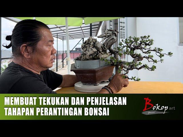 MEMBUAT TEKUKAN DAN PENJELASAN TAHAPAN PERANTINGAN BONSAI