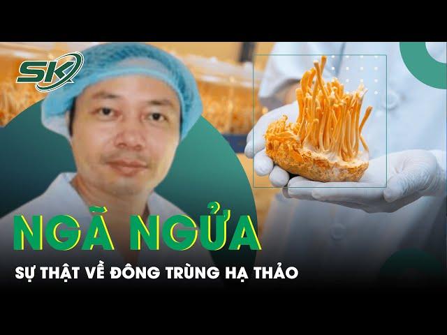 Sự Thật Khiến Người Mua Đông Trùng Hạ Thảo "Ngã Ngửa" | SKĐS