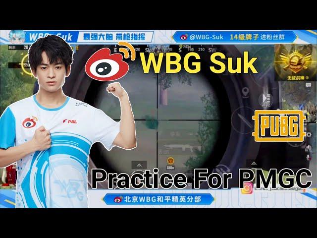 WBG Suk Play Global Version | WBG Suk Practice For PMGC | WBG Suk Live | wbg suk global gameplay |