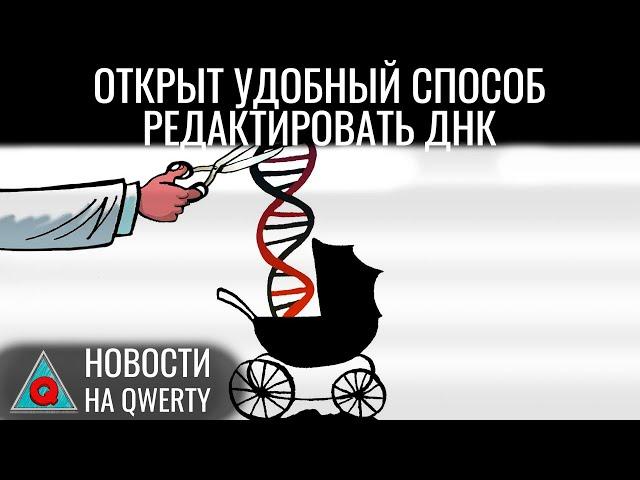 Баф на привлекательность. Новый метод редактирования генома. Мышление без языка. Новости QWERTY №306