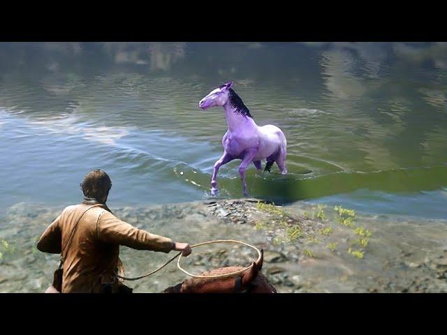 ARTHUR CATCH A BEAUTIFUL HORSE | RDR2 - GAMEPLAY