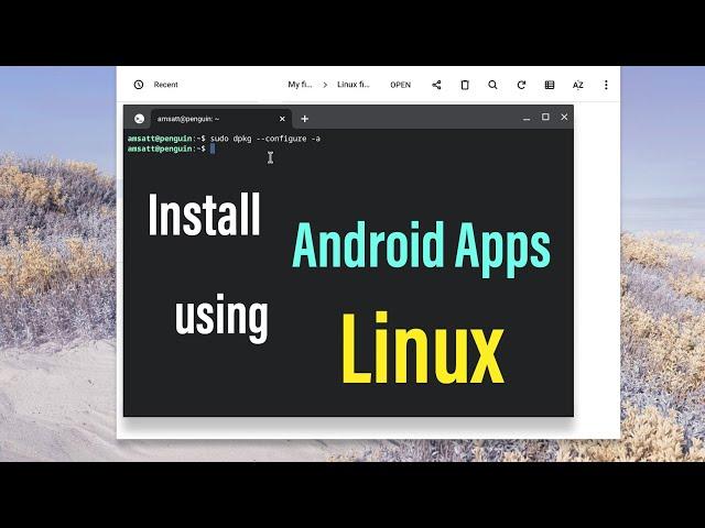 Install Android APK on ChromeOS without Google Playstore using Linux Environment!