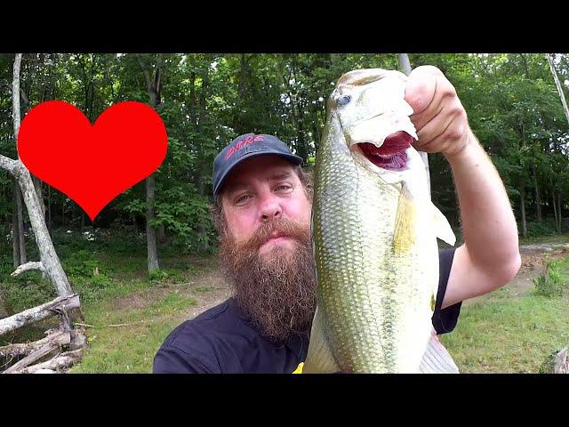 I Love Bass Fishing With a NED RIG! (Part 1)