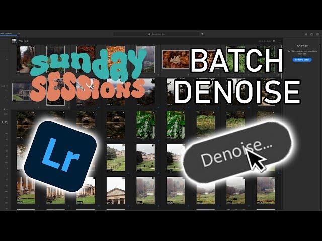 How to batch denoise in Lightroom CC