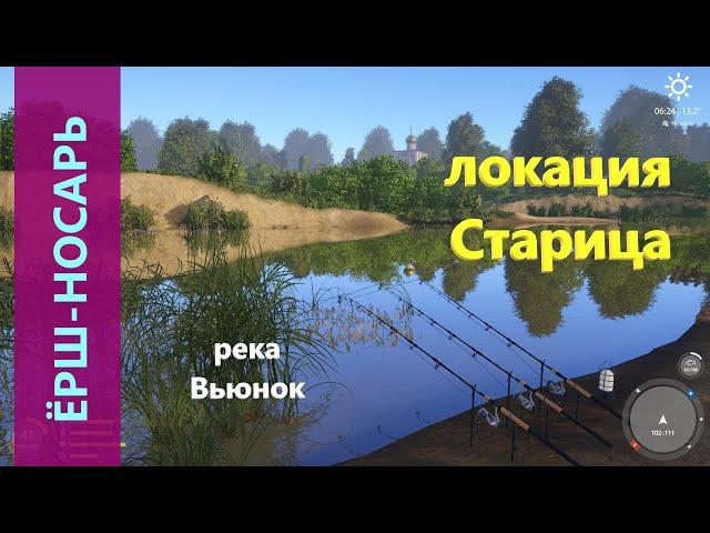 Русская рыбалка 4 - река Вьюнок - Ёрш-носарь за камышом