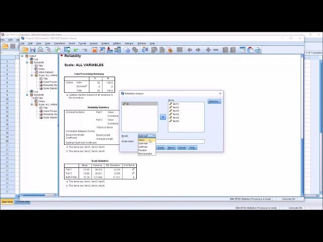 Split-Half Reliability and the Spearman-Brown Coefficient using SPSS