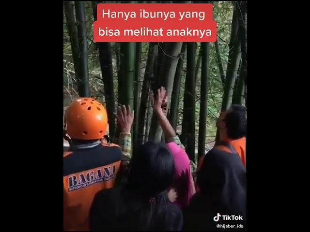 Anak hilang diculik makhluk halus. Hanya ibunya yang bisa liat dia di pohon bambu