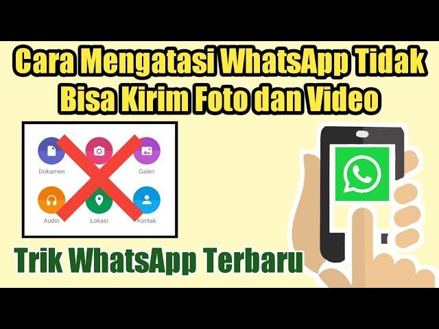 Cara Mengatasi WhatsApp Tidak Bisa Kirim Foto dan Video