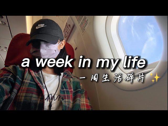Leaving comfort zone ｜move to a new city｜homestay life｜daily workout｜senior year｜跳出舒适圈｜生活碎片