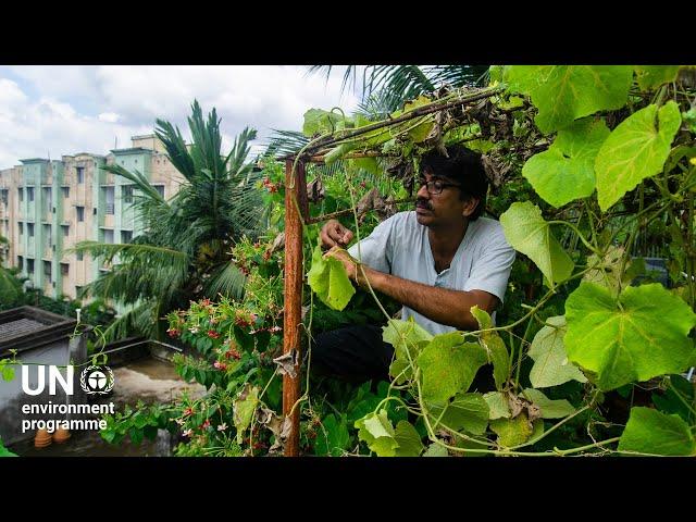 Urban agriculture offers a solution to the food crisis of the future