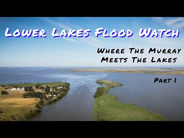 Murray River Flood Watch. The Lower Lakes & Coorong. Where the River Murray meets the lakes. Part 1