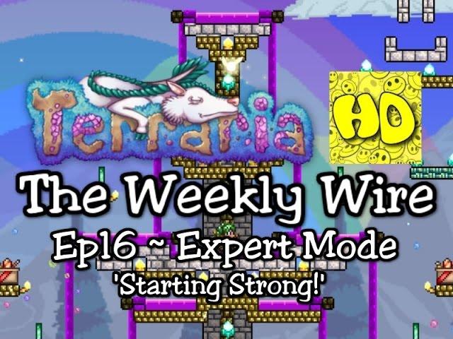 Terraria The Weekly Wire Ep16 | Expert Mode Strong Start Guide | 1.3 tutorials