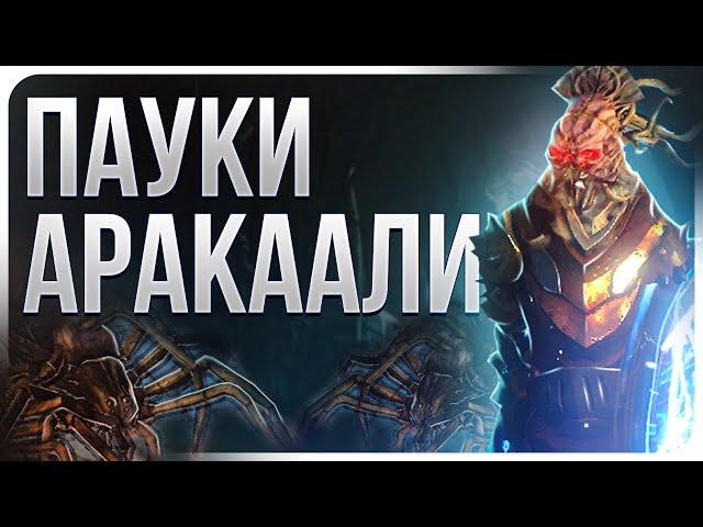 Оккультистка Пауки Аракаали - Билд на Ведьму - Поселенцы Калгуура Path of Exile 3.25 | Lootkeeper