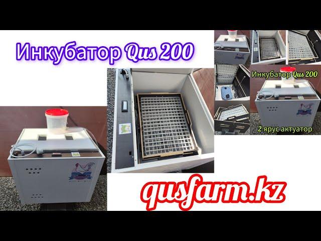 Инкубтор Qus 200-100 Qusfarm.kz incubator Made in Kz.