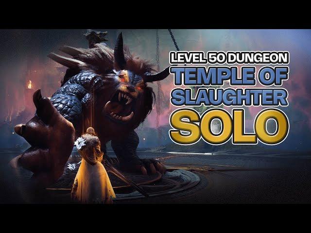 Throne & Liberty: SOLO Temple of Slaughter "11m Run"