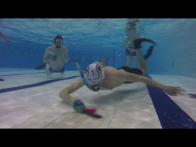 Underwater Hockey (Octopush)