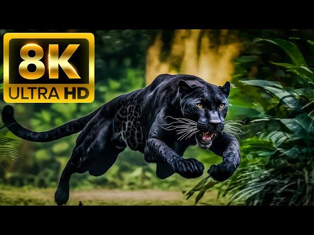 HUNTER ANIMALS - 8K (60FPS) ULTRA HD - With Nature Sounds (Colorfully Dynamic)