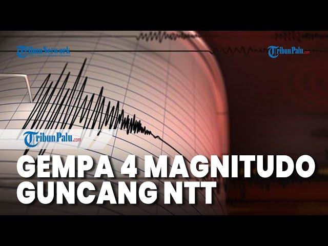 Gempa Bumi Magnitudo 4 Guncang Ende NTT pada Jumat Malam, Pihak BMKG Tak Berpotensi Tsunami