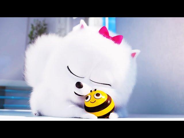 THE SECRET LIFE OF PETS 2 Clip - "Gidget Lost Busy Bee" (2019)