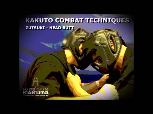 Kakuto Combat