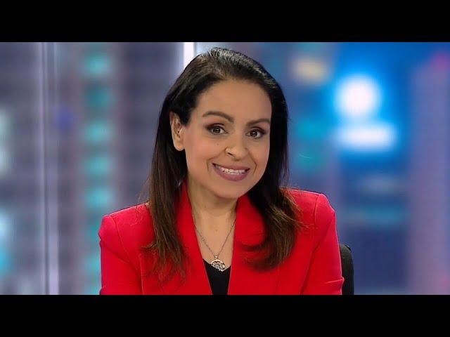 Lefties Losing It: Rita Panahi slams MSNBC's ‘dim-witted host’