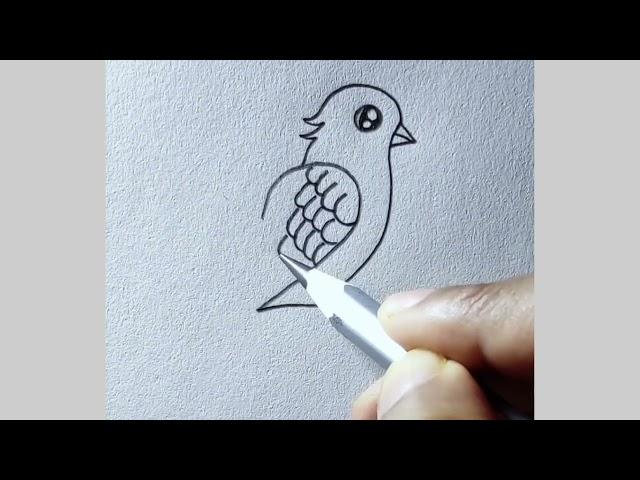 how to draw a bird || easy bird drawing with pencil || easy drawing tutorial for beginners