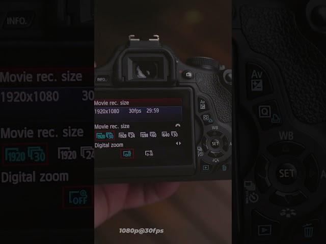 Can They Do 1080p @ 60fps? Canon 6D vs Canon 600D (T3i)