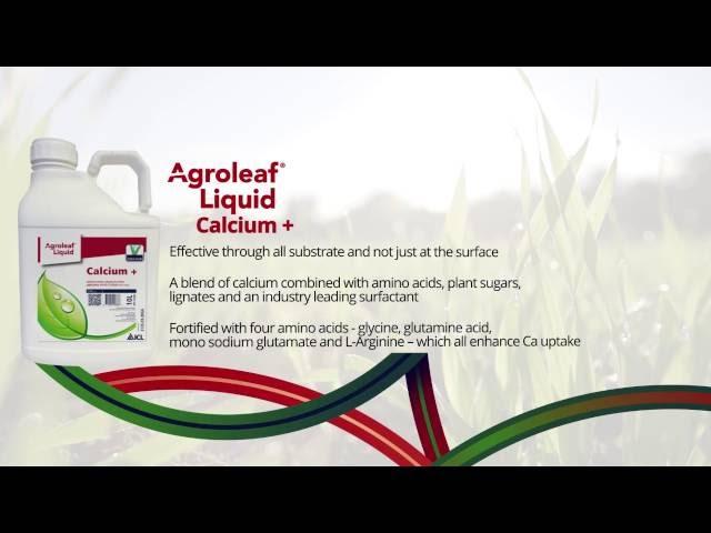 Agroleaf Liquid Calcium+ - ICL Specialty Fertilizers