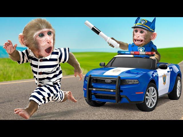 KiKi Monkey become Paw Patrol Police chase thief to rescue & Take Care of Duckling |KUDO ANIMAL KIKI