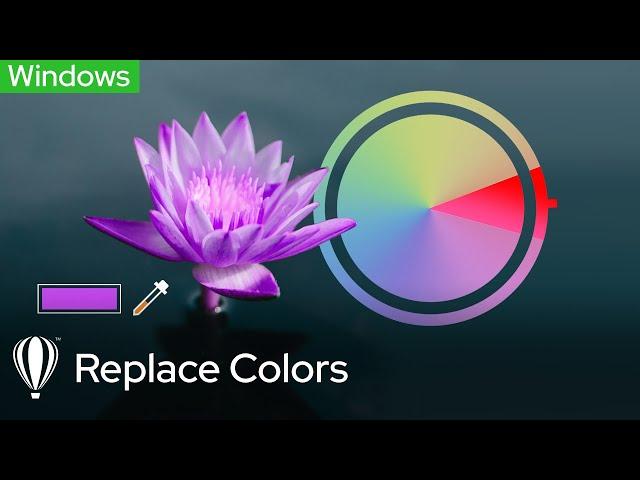 Replace Colors | Corel PHOTO-PAINT for Windows