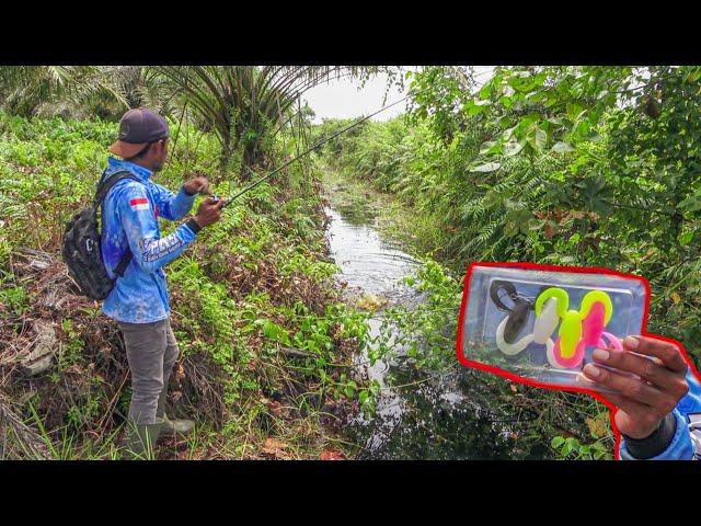 BAHAYA !!! Umpan Ini Dihantam Berbagai Macam Ikan Diparit Kecil Begini 