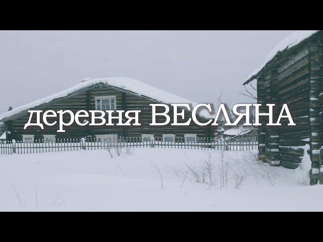 Деревня Весляна.Княжпогостский район.Коренные деревни республики Коми.