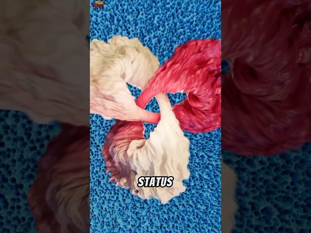 meme viral 35 cwe/cwe jamet #meme #memes #jokes #satisfying #subscribe #shorts #viral #trending #new