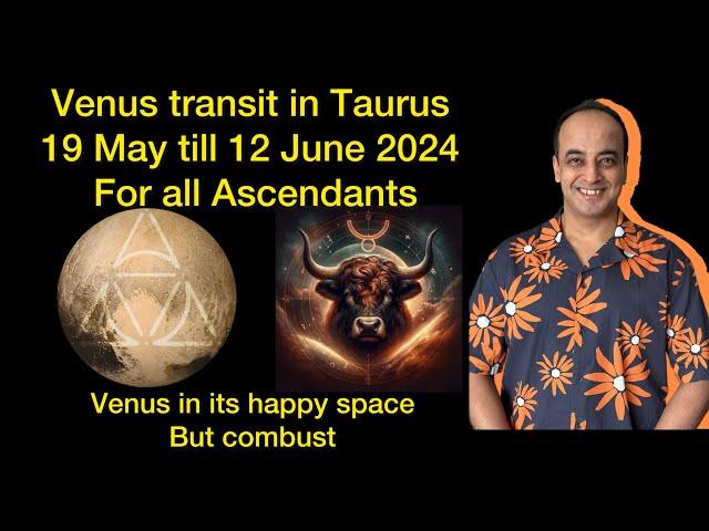 Venus transit in Taurus for all Ascendants 19 May till 12 June | Great transit but Venus combust
