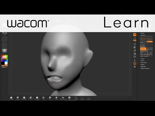 ZBrushCore Video Tutorial Series with Steve James - Part 1 Base