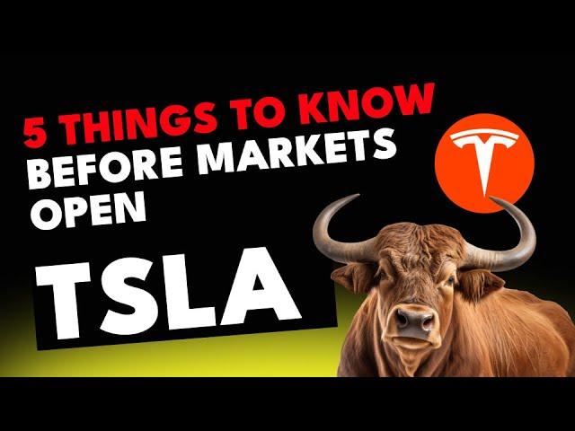 TSLA Stock Analysis: Will Elon Musk's Trump Bet Propel Price Soaring in 2025?  Insights Inside!