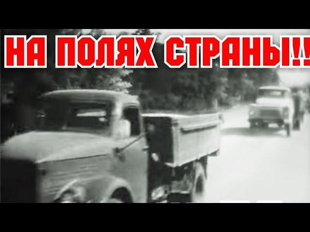 ХРОНИКА СССР! 1969 ГОД! НА ПОЛЯХ СТРАНЫ!