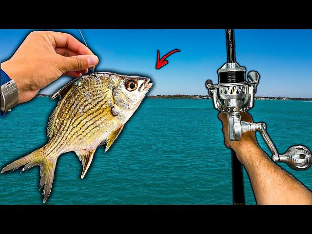 Luckiest Day Of Fishing? Light Tackle VS Heavy Structure & BIG Fish!