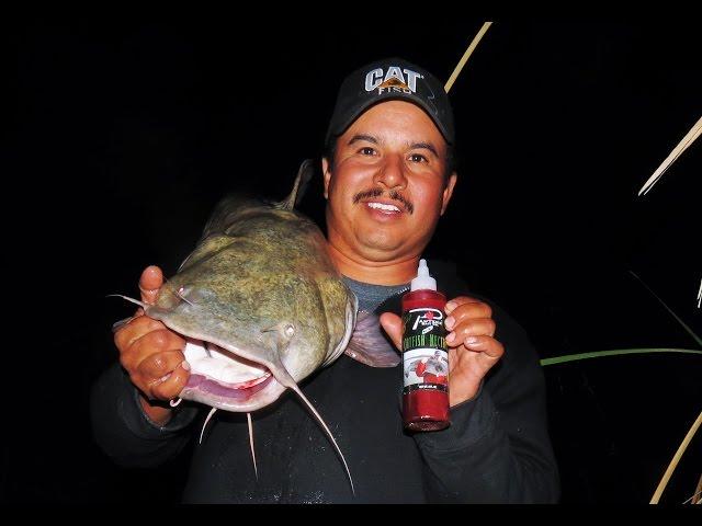 Pautzke's Catfish Nectar Bait Review