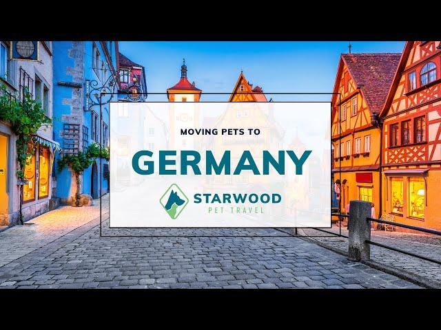 Moving Pets to Germany | Starwood Pet Travel